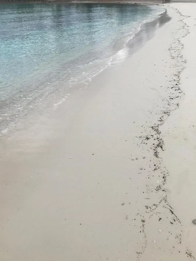 The Cay House Hotel Mangrove Cay 0*,  Bahamas