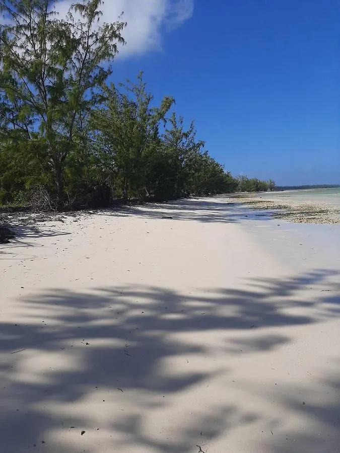 The Cay House Hotel Mangrove Cay 0*,